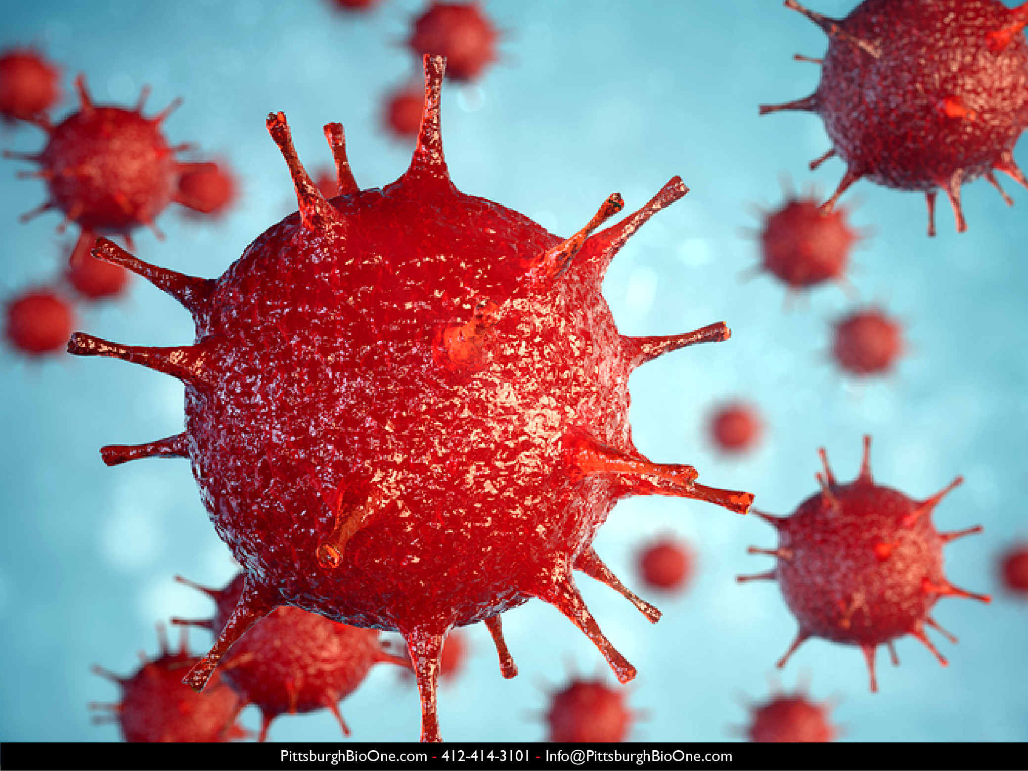 Image shows view of blood cells and blood pathogens.