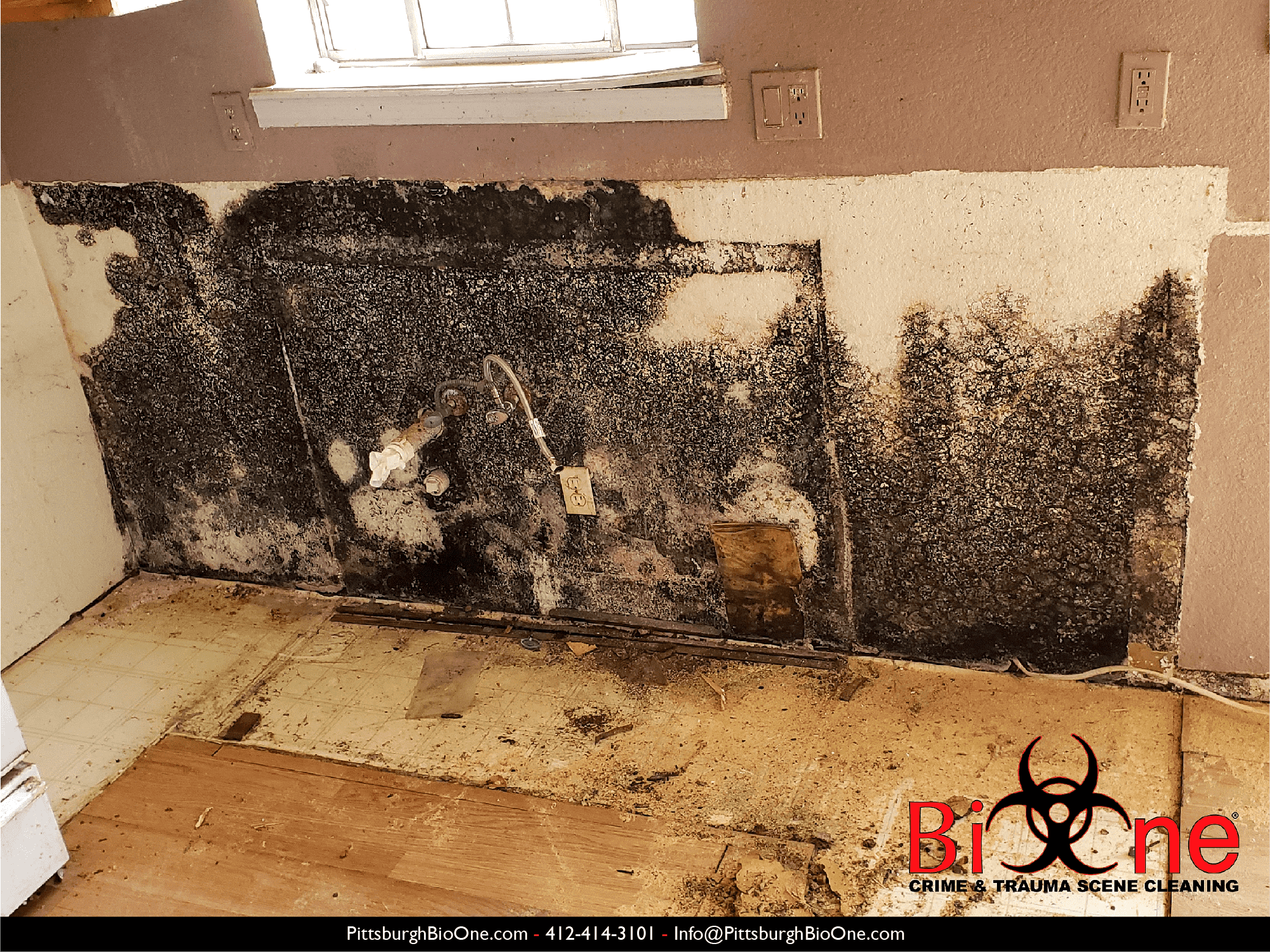 Image shows mold growing in wall behind kitchen counters.