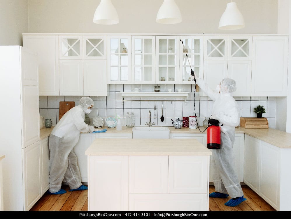 Technicians disinfecting a kitchen. Photo credit: @contributor29639600 - Freepik.