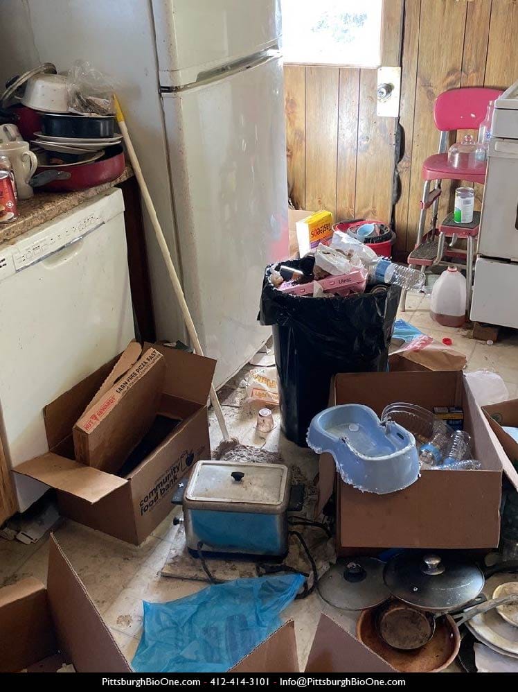 Bio-One Pittsburgh - Hoarding clean up clutter in kitchen before