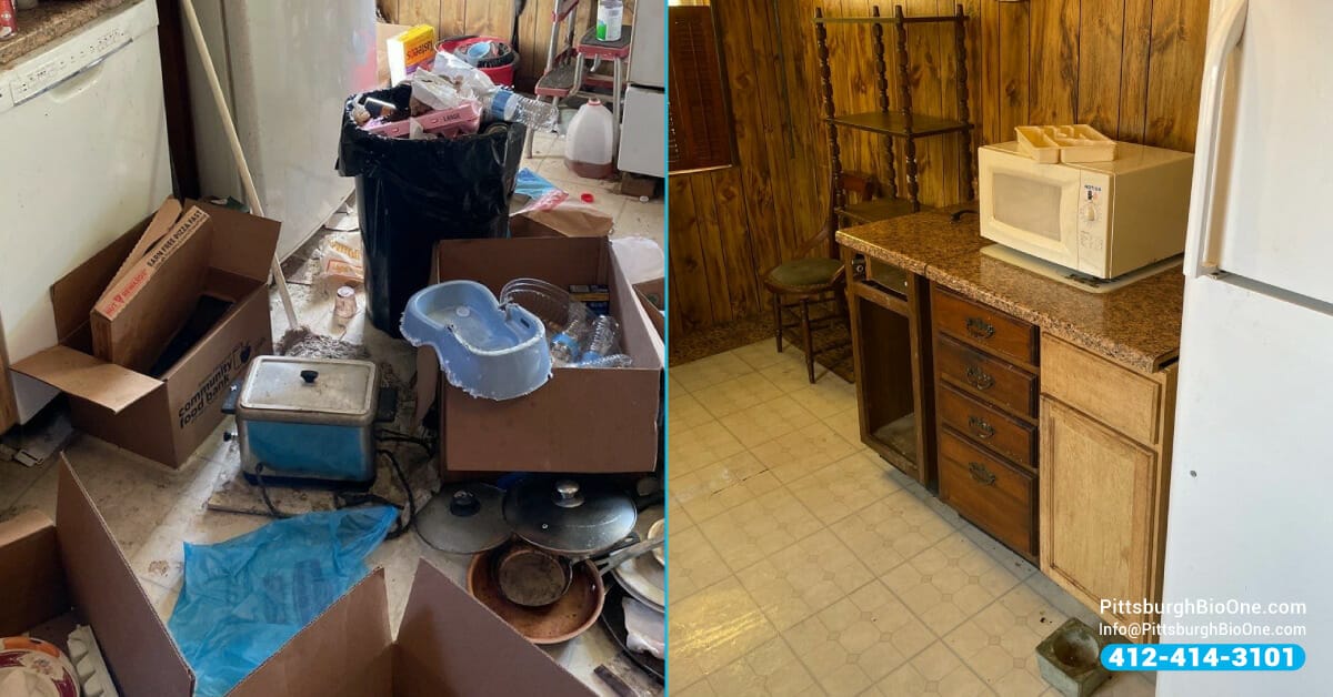 Hoarder cleanup - Before and after!