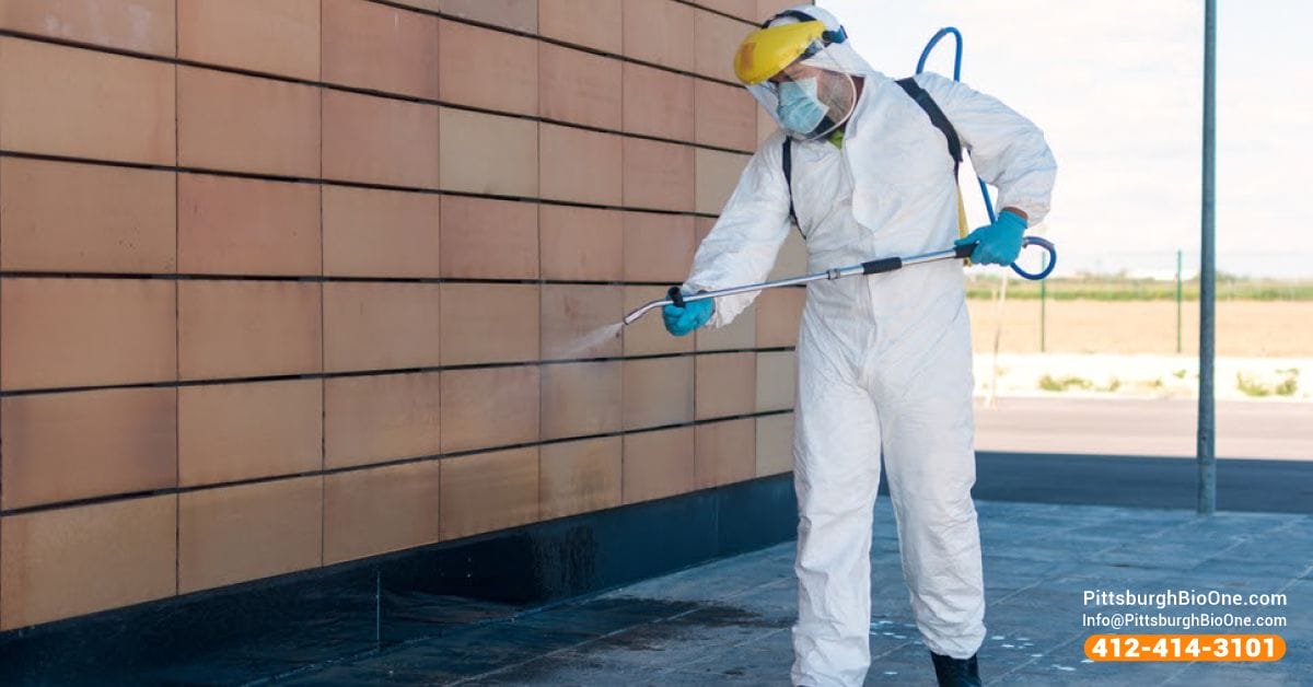Our technicians can help you remove rodent droppings, and disinfect any areas impacted by their urine and feces.