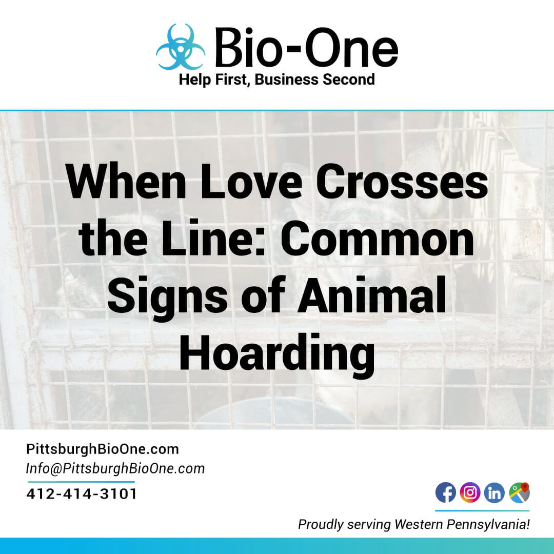 When Love Crosses the Line: Common Signs of Animal Hoarding - Bio-One of Pittsburgh