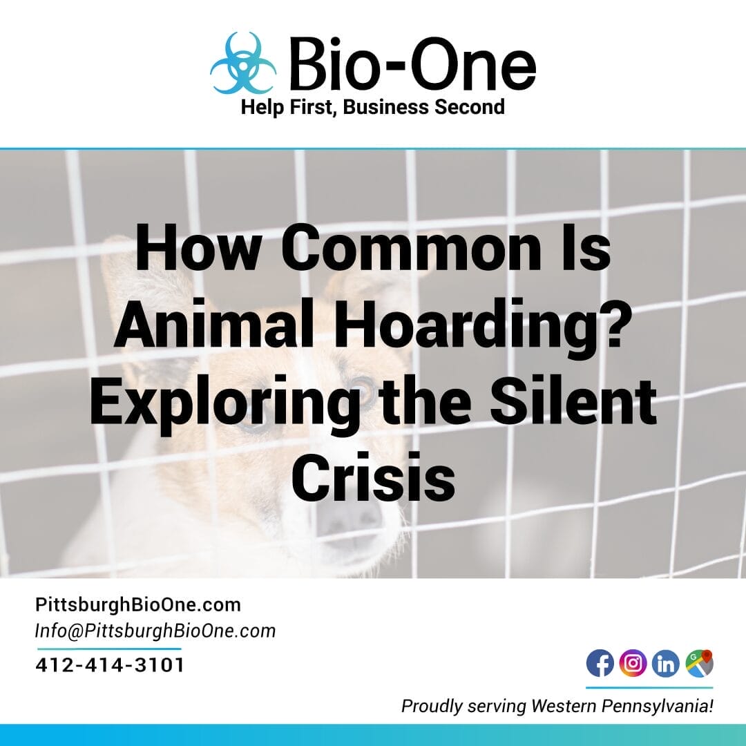 How Common Is Animal Hoarding Exploring the Silent Crisis